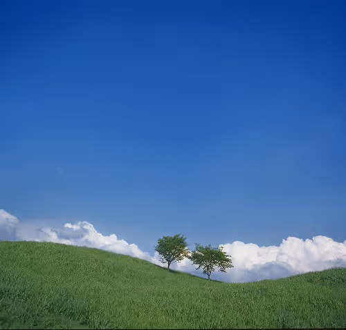 kis0107-049