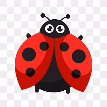 ladybug
