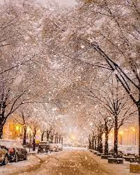 Winter vibes