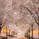 Winter vibes