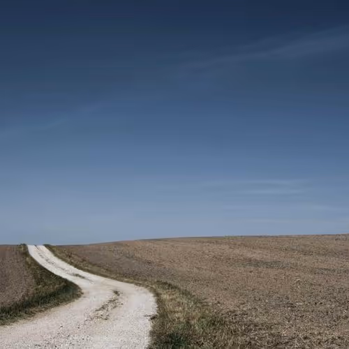 Boulevard Quotes