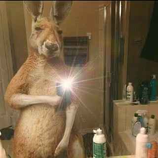 selfie time