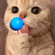 Chupa Zorb
