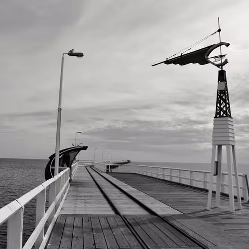 Sucking Altered Worried