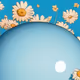 Flower Zorb