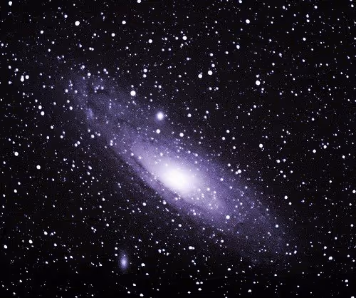 Cosmos