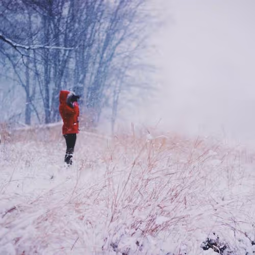 Reinvest bubble geyser quick