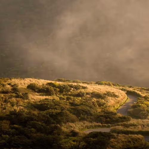 Division Detail Motherboard