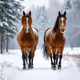 Horses in Snow