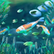 Pond With Fishes