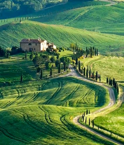 beauty