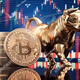 Btc bull