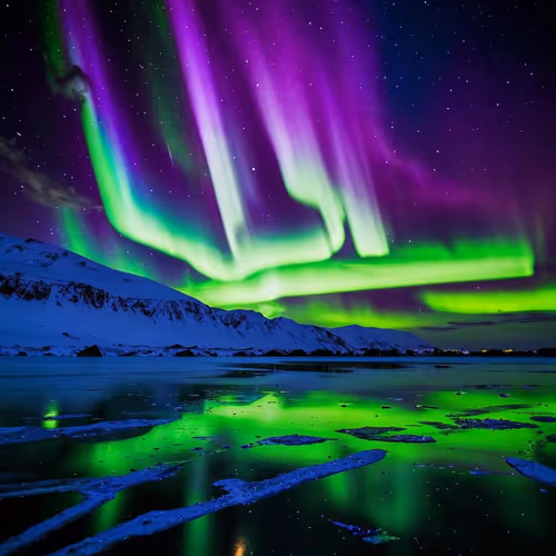 Aurora Skies