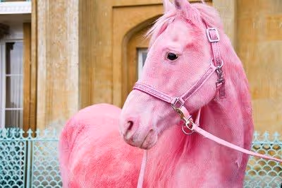 horse