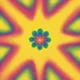 experimentations Z