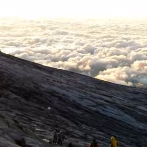 Locking Psychology Auctions