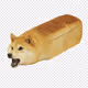 dog bread