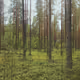 Framework I