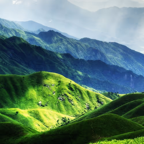 Nature
