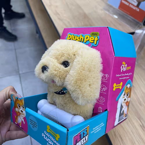 dogs