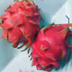 Dragon Fruits