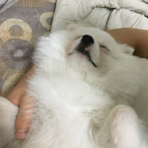 cute