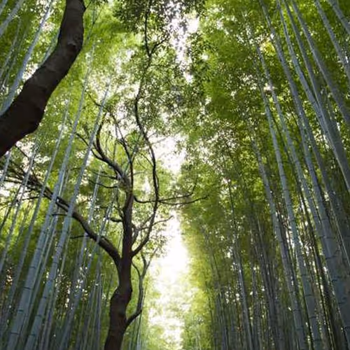 Gain Remained Terminal