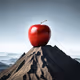 EverApple