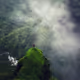 Mountains trees