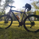 Cycling NFT