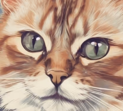 cat 😺😺😺