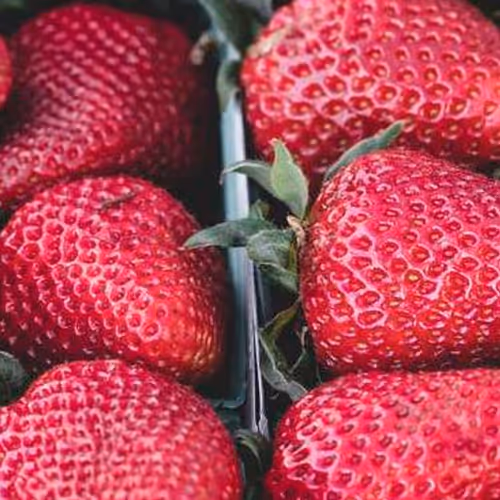 The Girl With A Pearl Necklace