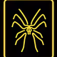 Spider Netsky