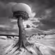 Mushroom Tree in Desert