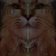 OBEY THE CAT