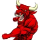 Fighting bull