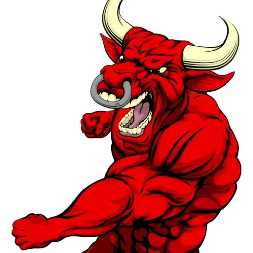 Fighting bull
