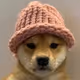 test premint
