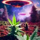 space bandits