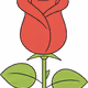 rose