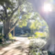 scenery