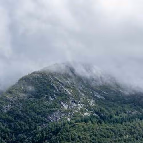 Pelican ahead pivot nineteen