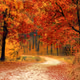 Orange road