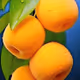 peach