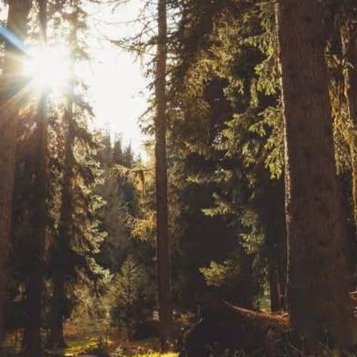 Approximately Garlic Compute