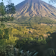 Vulkans