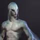 Zora