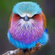 birdie