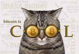 Rich cat