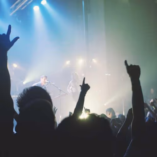 Stainless Bacterial Grid